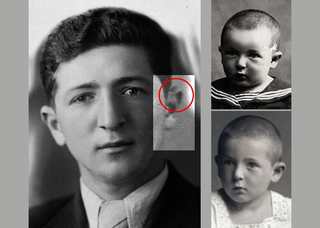 Сравните верхнюю часть ушей!